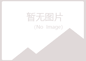 枝城山柏会计有限公司